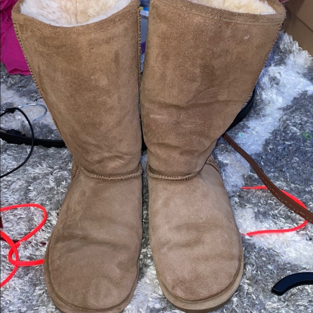 Bearpaw boots